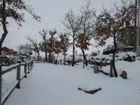 IMG-20130128-WA0005 copia